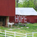 Barns20