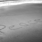 Beach41