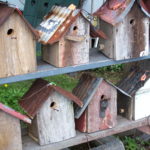 Bird-Houses3