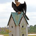 Bird-Houses9