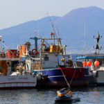Boats13