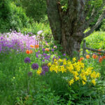 Flowers176
