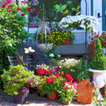Flowers203