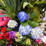 Flowers204