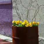 Flowers207