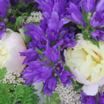 Flowers246