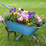 Flowers352