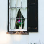 Flowers358