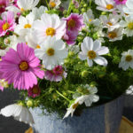 Flowers75