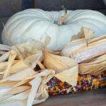 Fruits-Vegetables73