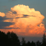 Nature4
