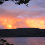 Nature6