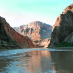 Nature7