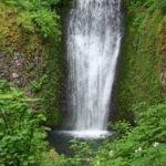 Nature9