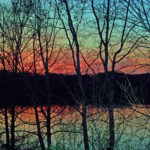 Trees17