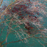Trees23
