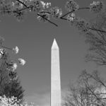Washington-DC18