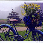 Magnet-Bike-with-flowers